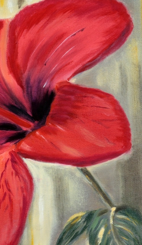 Obraz olejny 40x50 cm "Czerwony hibiskus"