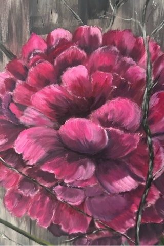 Obraz olejny 60x80 cm "Różowa piwonia"