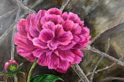 Obraz olejny 80x60 cm „Niepokorna Piwonia "