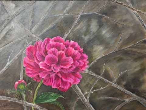 Obraz olejny 80x60 cm „Niepokorna Piwonia "