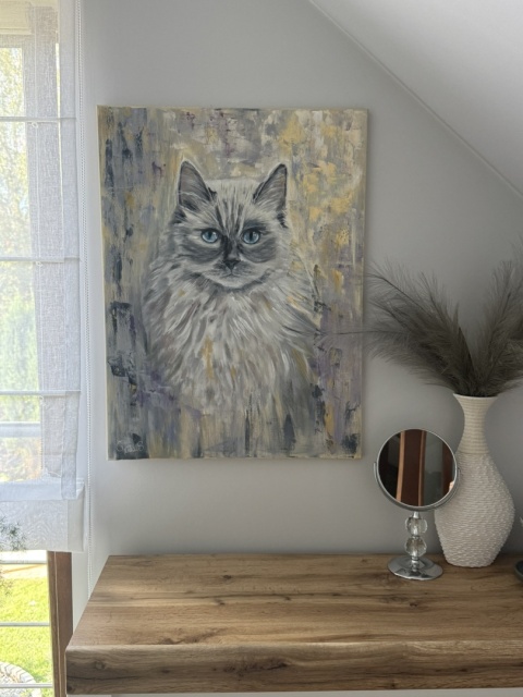 Obraz olejny 50x70 cm „Ragdoll Gillian– błękitne spojrzenie”