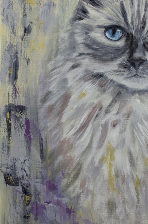 Obraz olejny 50x70 cm „Ragdoll Gillian– błękitne spojrzenie”