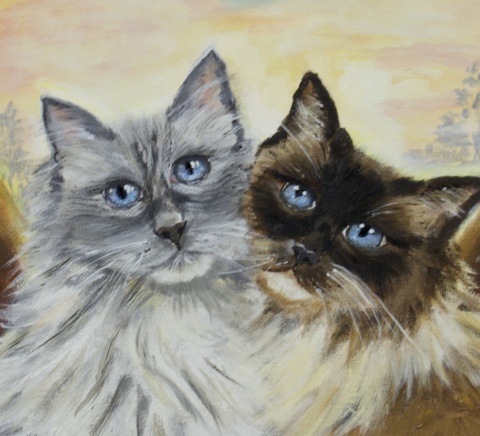 Obraz olejny 40x50 cm „Kocia bliskość”